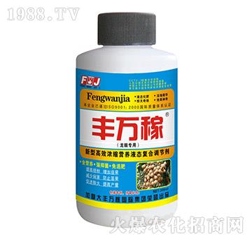 龍眼專用營養(yǎng)液態(tài)復合調節(jié)劑-豐萬稼