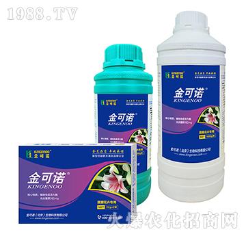 ���Ի��܌���-����Z