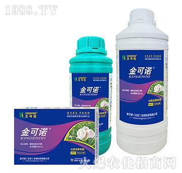 �������[��(zhu��n)��-����Z