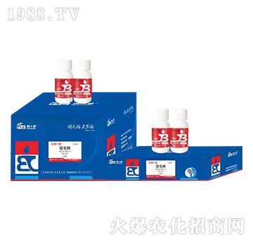 �׷�ʭ����ˎ-���gѾ��-��(gu��)�˸�