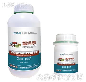 �Ǳ���-�G���S-���_(d��)����