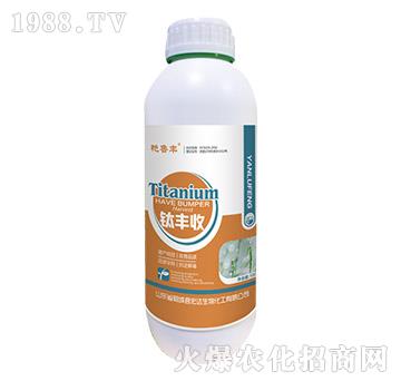 ��S��-�G���S-���_����