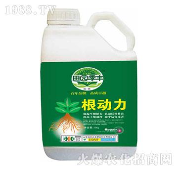 ����(d��ng)��-��@���S-���S�ʘI(y��)