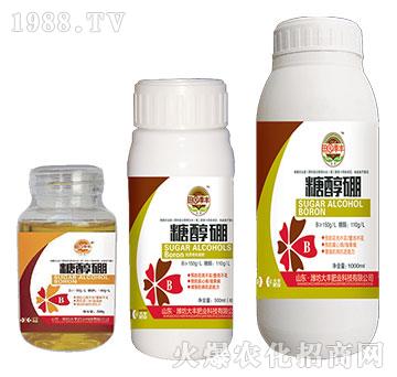 �Ǵ���-��@���S-���S�ʘI(y��)