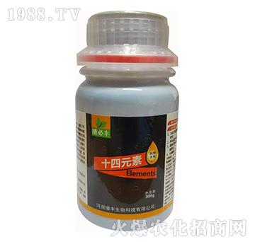 ʮ��Ԫ��-���S����