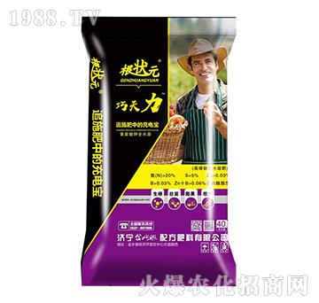 ������-����Ԫ-��W(w��ng)(li��n)