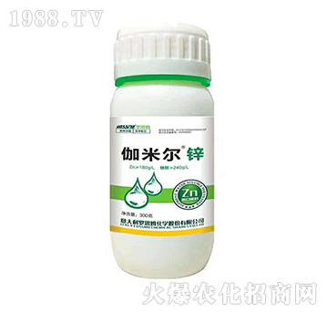 ٤�נ��\-�_˼ķ-ľ�̼ь�