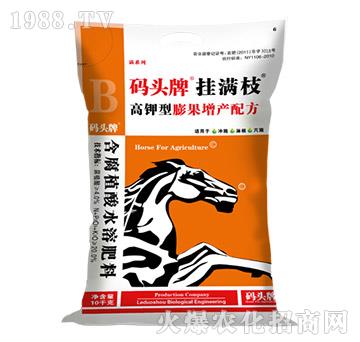 �����������a(ch��n)�䷽-�a�^�ƒ�M֦-������