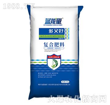 ������͏ͺϷ���28-6-6-���ֺ�-�{����