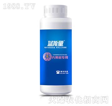 �����䌣��-�����n�����{��-�{����