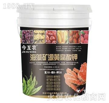 海藻礦源黃腐酸鉀-今互農(nóng)