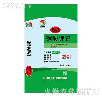 ������}-�Нɻ���