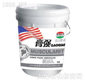 ����(qi��ng)-�μ�