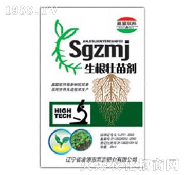 �������焩-�μ�