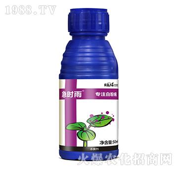 �׷۲����Ú�����-���r(sh��)��-�к���(r��n)��