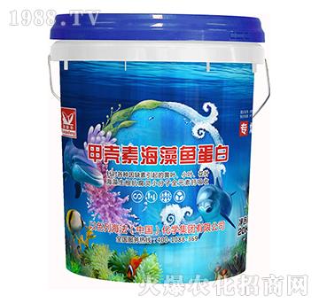 �ך��غ����~(y��)����-�����S-����