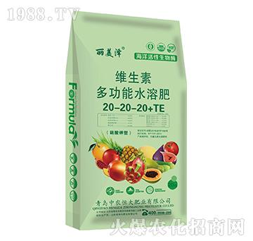 �S���ض๦��ˮ�ܷ�20-20-20+TE-������-���r���