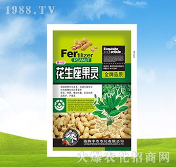 花生座果靈-豐農(nóng)農(nóng)化