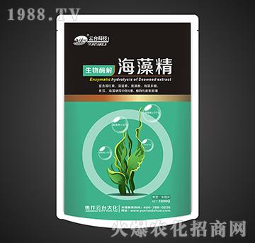 ����ø�⺣�徫-���_��