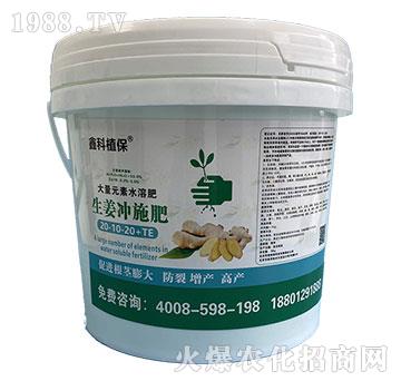 ����Ԫ��ˮ�ܷ�20-10-20+TE-�����_ʩ��-�ο�ֲ��