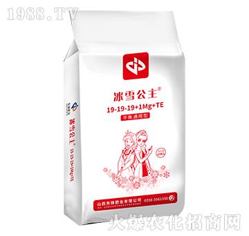 ����Ԫ��ˮ�ܷ���19-19-19+1Mg+TE-��ѩ����-�|�\�ʘI(y��)