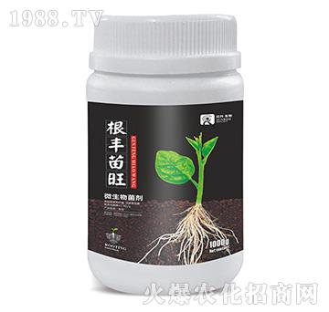 ΢�������-���S����-��������