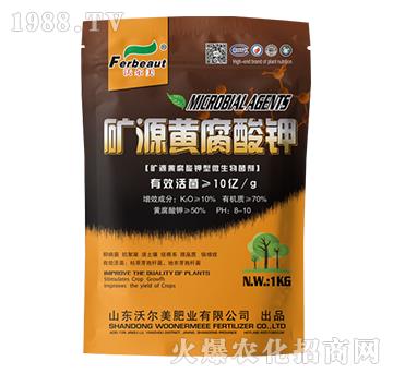 �VԴ�S�����-�֠���