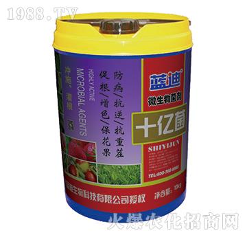 ΢�������-ʮ�|��-�{���֠���