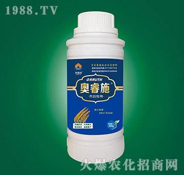 �̹Ȍ����~���-�W�ʩ