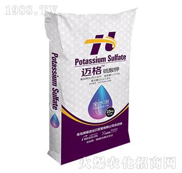 �~�������-�xҫ����