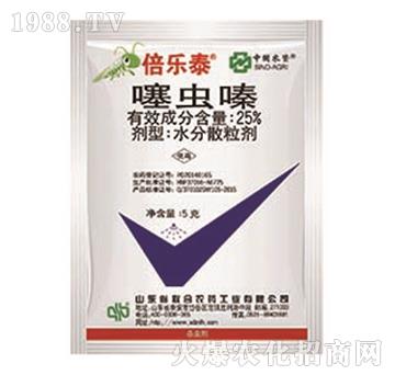 25%���x�-����̩-���r(n��ng)(li��n)��