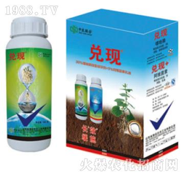 30%�����+5%���S����-���F(xi��n)-���r(n��ng)(li��n)��