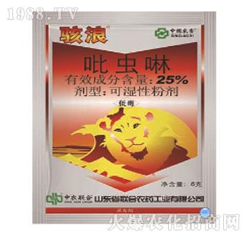 25%���x��-���-���r(li��n)��