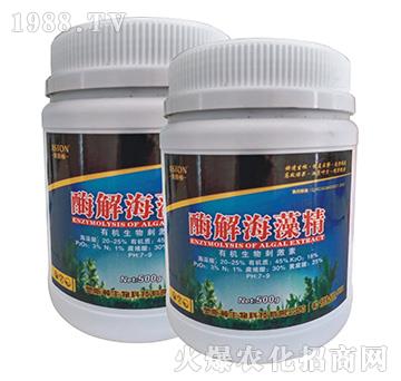 ø�⺣�徫-�W˹�D