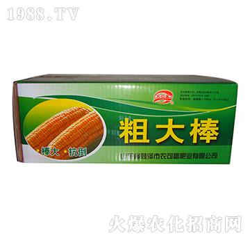 ���׌��÷�-�ִ��-�r�ɸ�