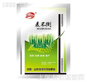 100��������-�r�ɸ�