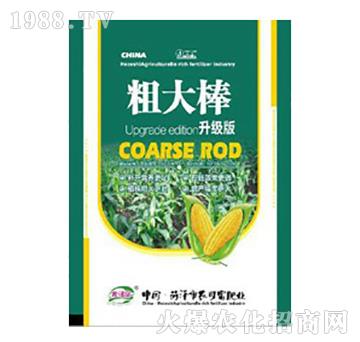 ����(j��)�����׌�(zhu��n)�ôִ��-�r(n��ng)�ɸ�