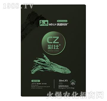 �n�Č���-�ʉ�-������A