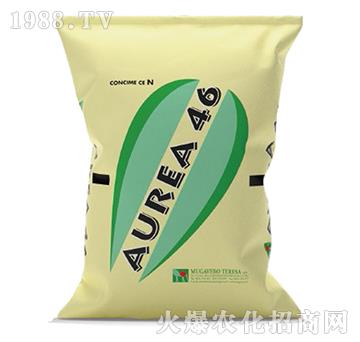 ��٤�_-��ጵ���N34-��ʢ����