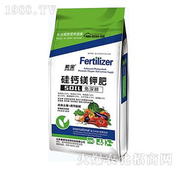 ���}�V⛷�-�ό����G����-�ε��R