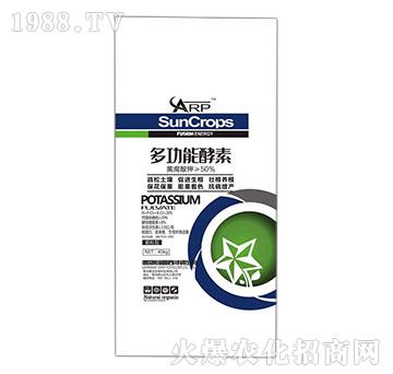 �๦�ܽ���-�����r�I(y��)