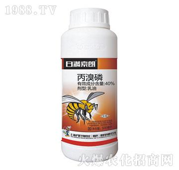 40%������-�םM(m��n)����-��(li��n)