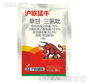 70%�ݸʡ�������-����ţ-��