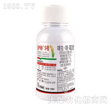 25%���x������˪�`-����5̖-��