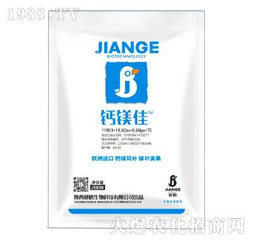 �}�V��-��������