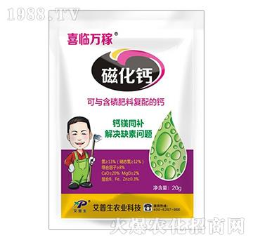 20g�Ż��}-ϲ�R�f��-������