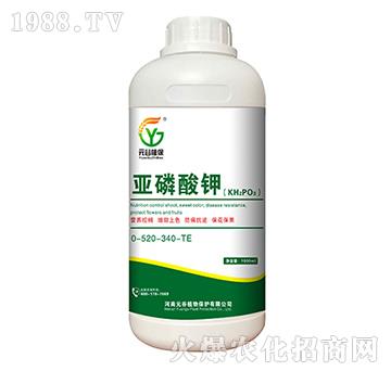 �������0-520-340+TE-Ԫ��ֲ��