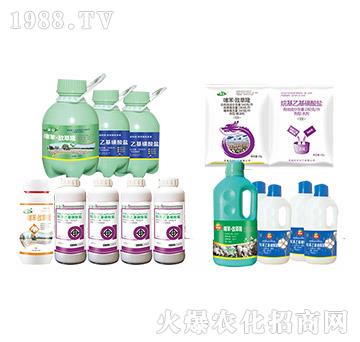 �޻�Ó�~��-�䰲-��Ҋ����