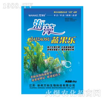 �����߹���-�f��