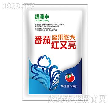 �����������t����-�G���S-����